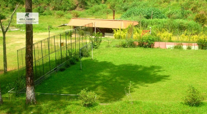 Prédio Inteiro, 50000 m² - Foto 2