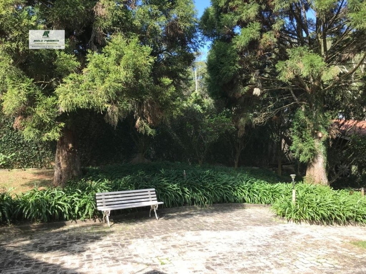 Chácara, 3 quartos, 1800 m² - Foto 3