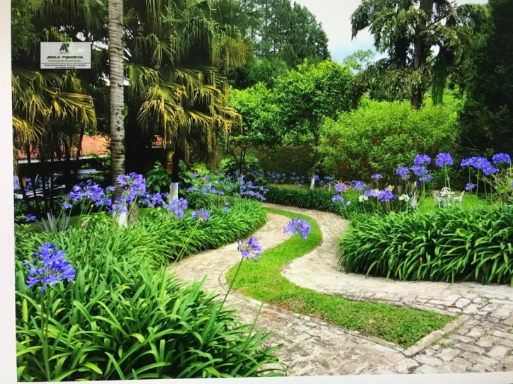 Chácara, 3 quartos, 1800 m² - Foto 4