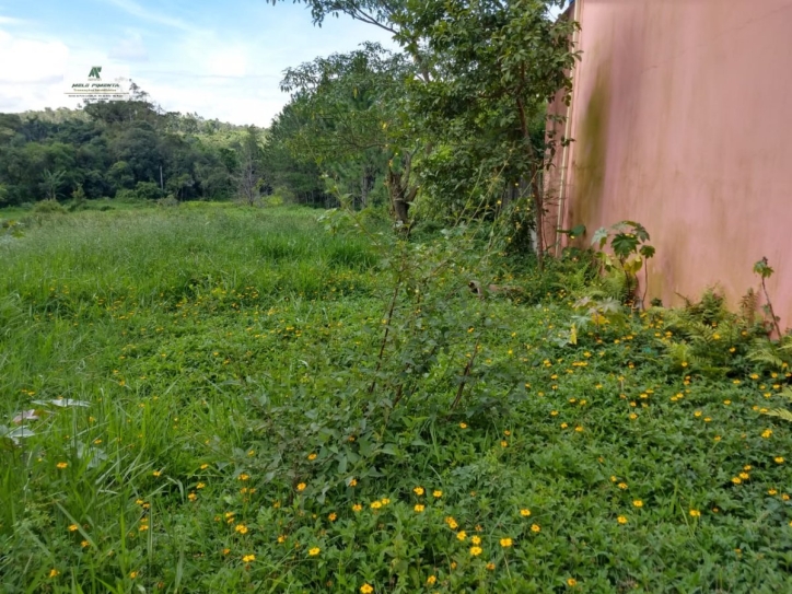 Terreno, 3695 m² - Foto 2