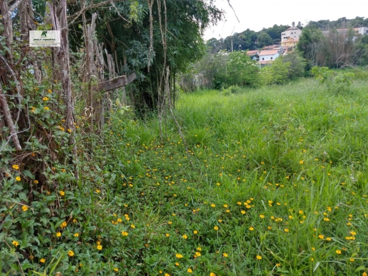 Terreno, 3695 m² - Foto 4