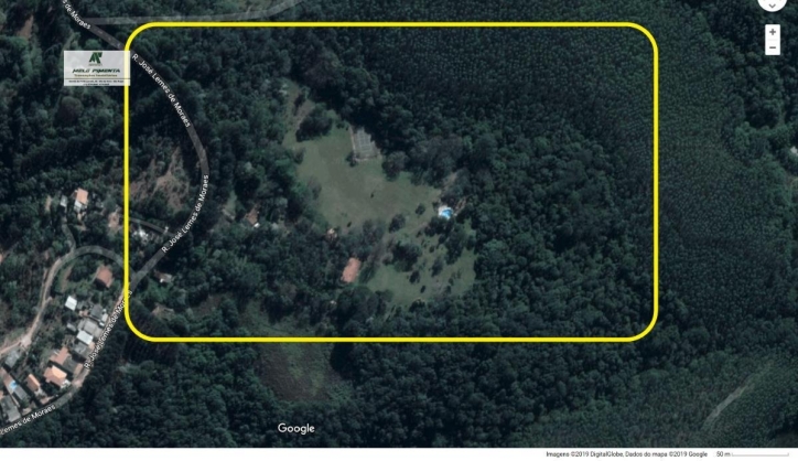 Terreno, 7 hectares - Foto 4