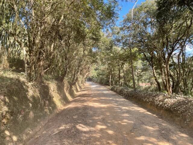 Chácara, 4 quartos, 2800 m² - Foto 11