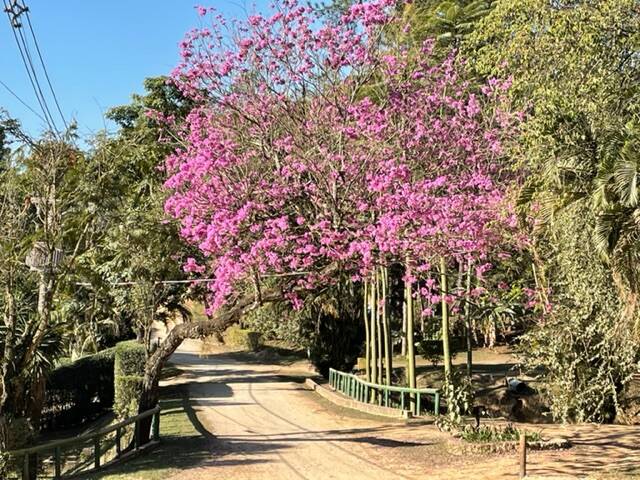 Chácara, 4 quartos, 2800 m² - Foto 10