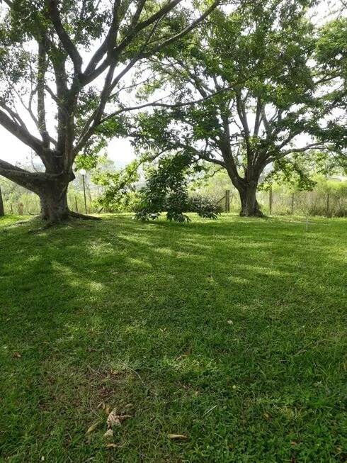 Casa, 5 quartos, 1000 m² - Foto 6