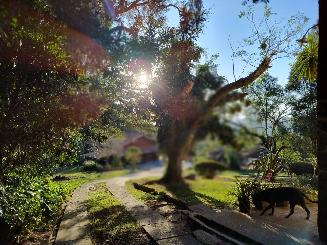 Sítio, 9 quartos, 3 hectares - Foto 4