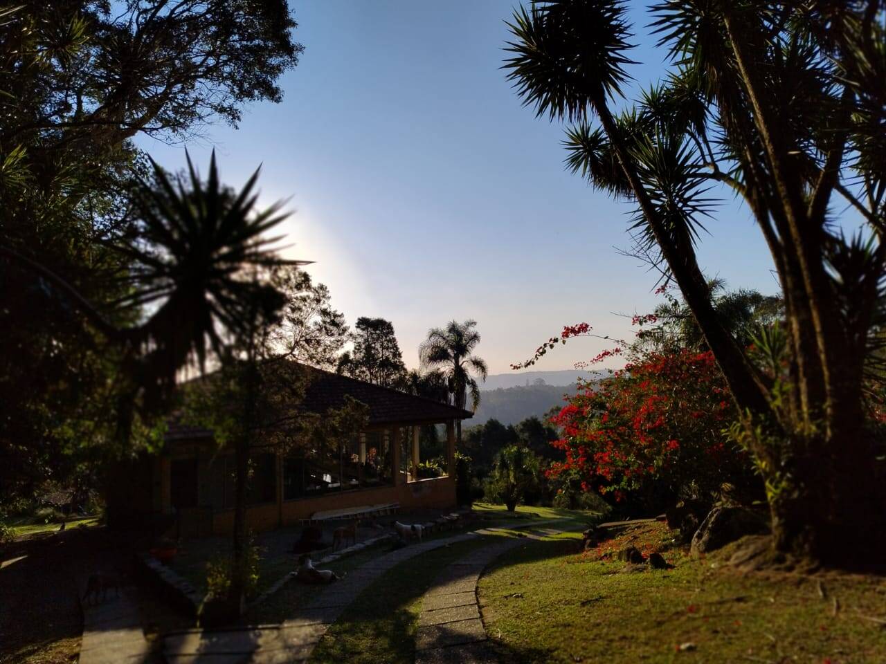 Sítio, 9 quartos, 3 hectares - Foto 5