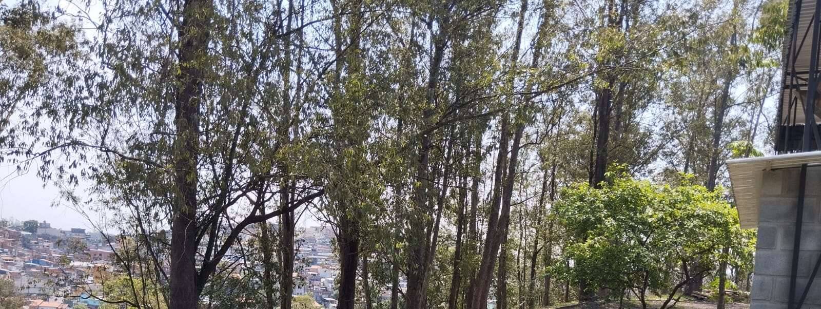 Depósito-Galpão, 4500 m² - Foto 23