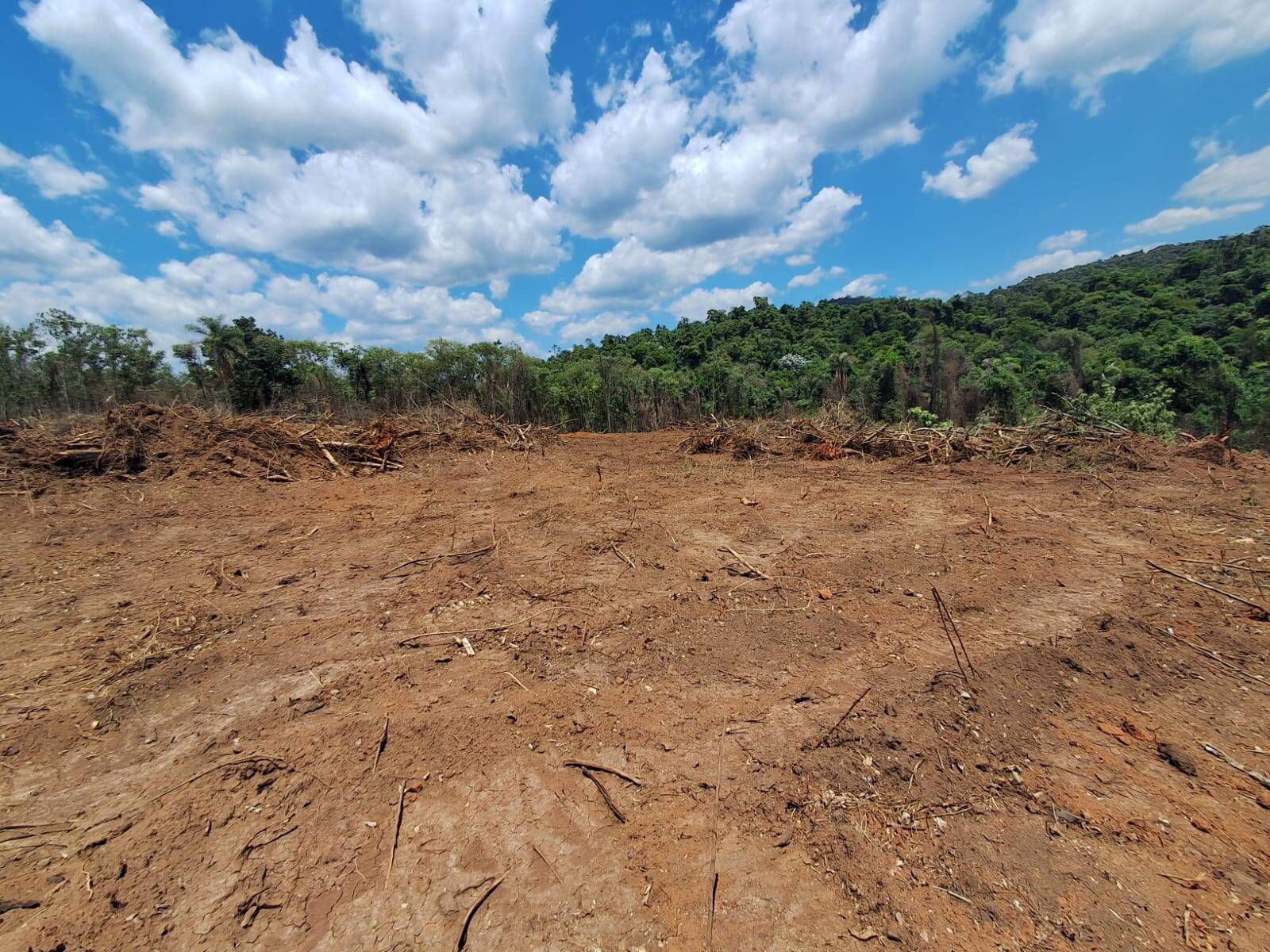 Terreno, 1 hectares - Foto 2