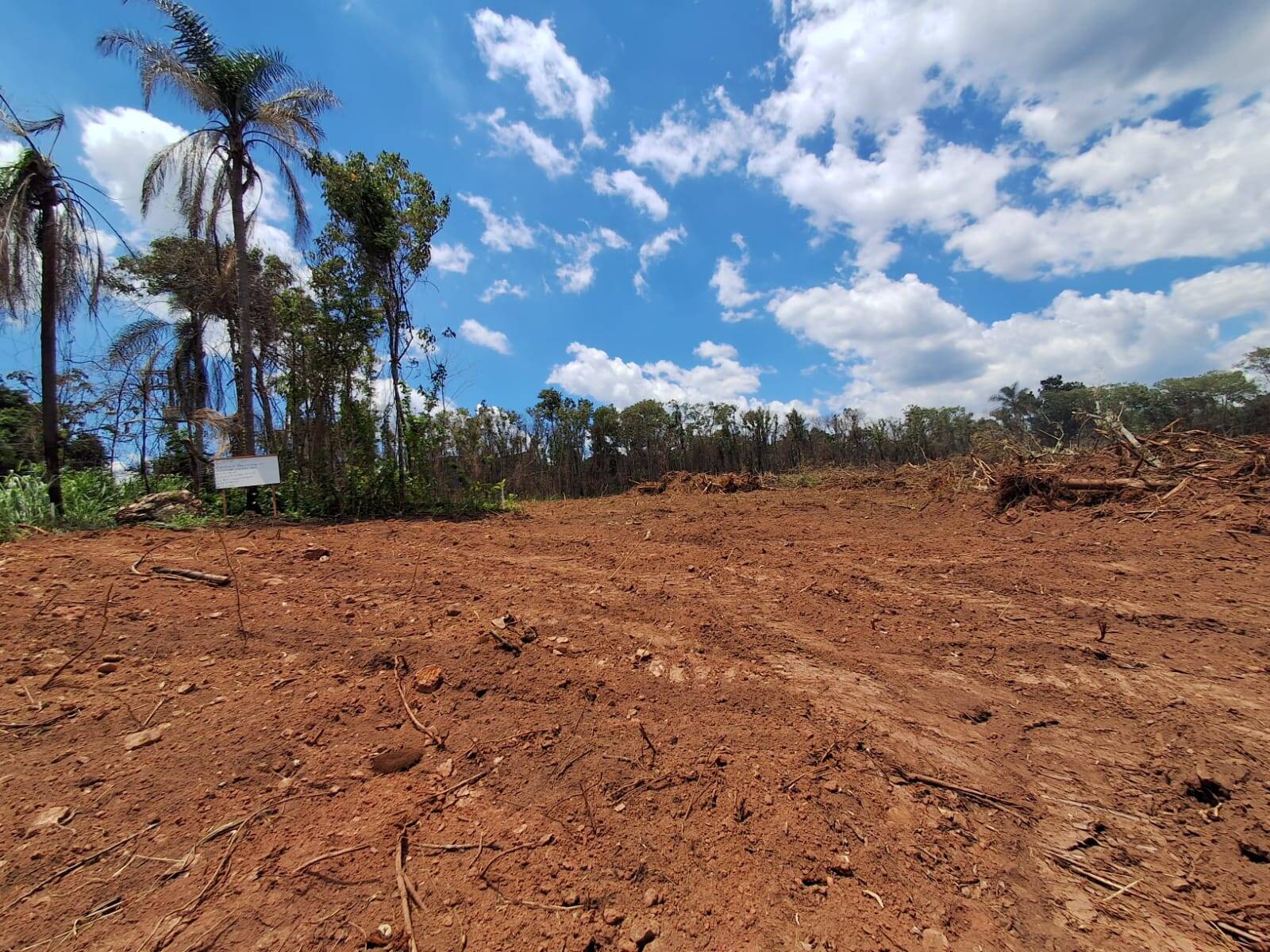 Terreno, 1 hectares - Foto 1