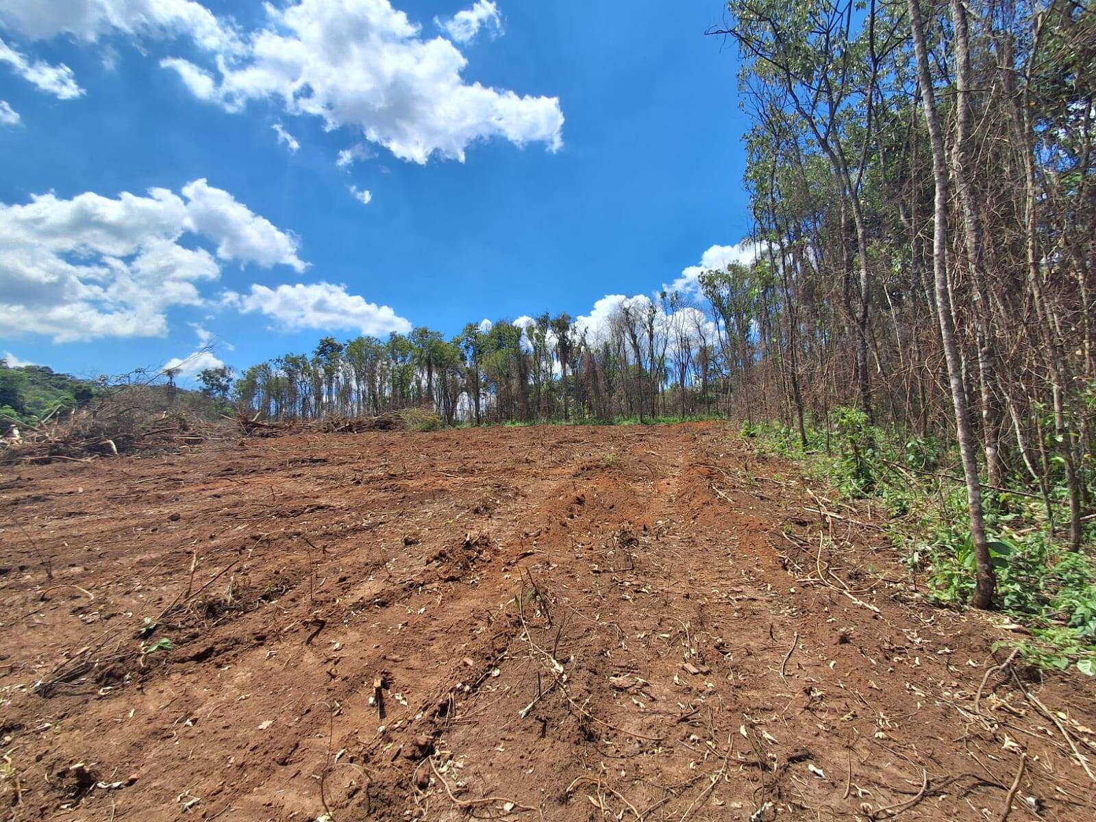 Terreno, 1 hectares - Foto 3