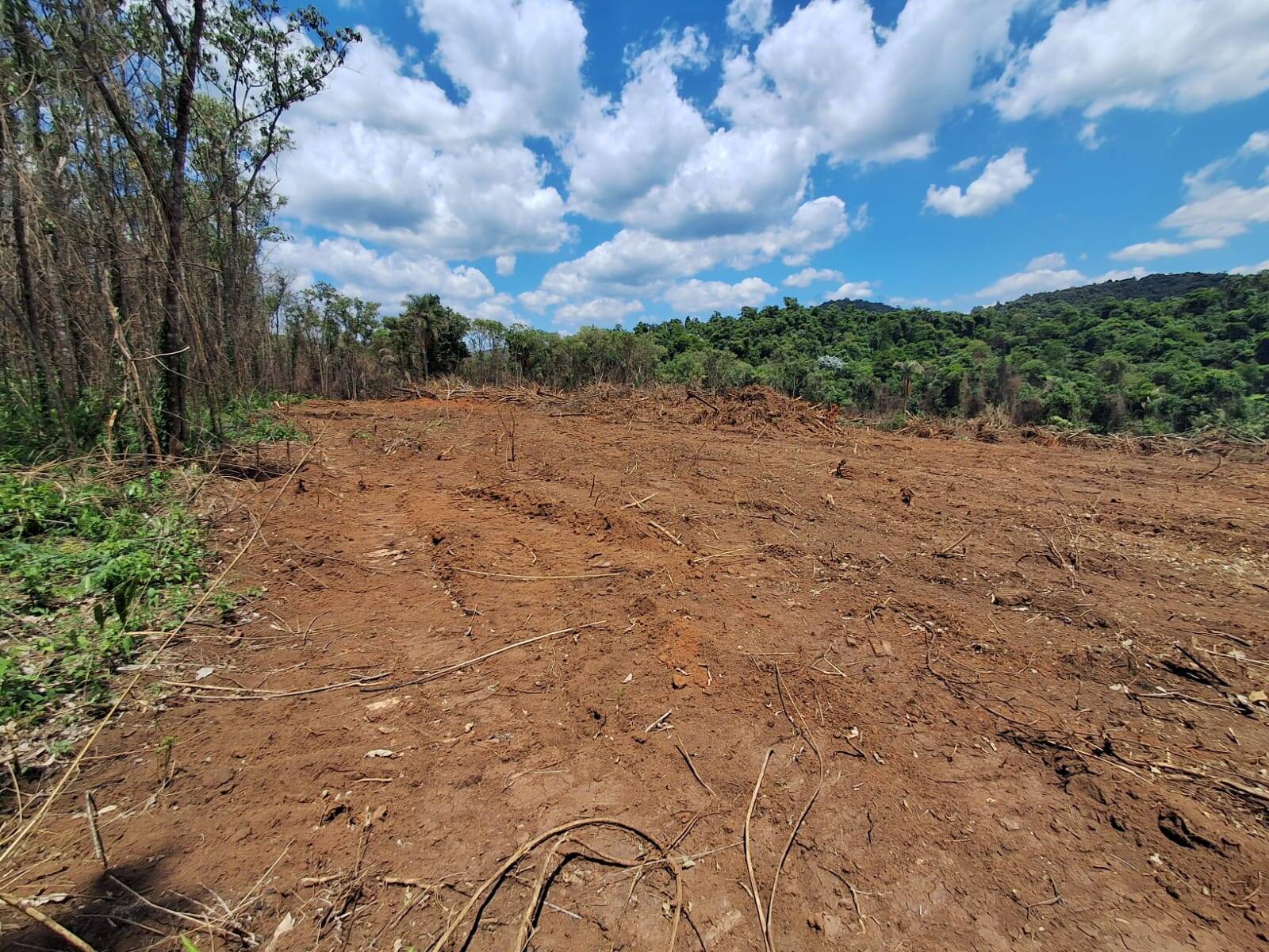 Terreno, 1 hectares - Foto 4