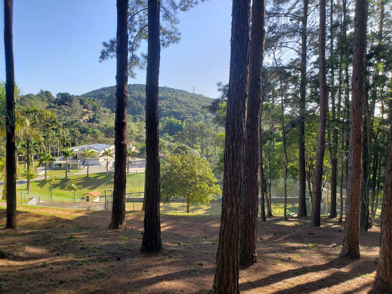 Chácara à venda e aluguel com 4 quartos, 5000m² - Foto 17