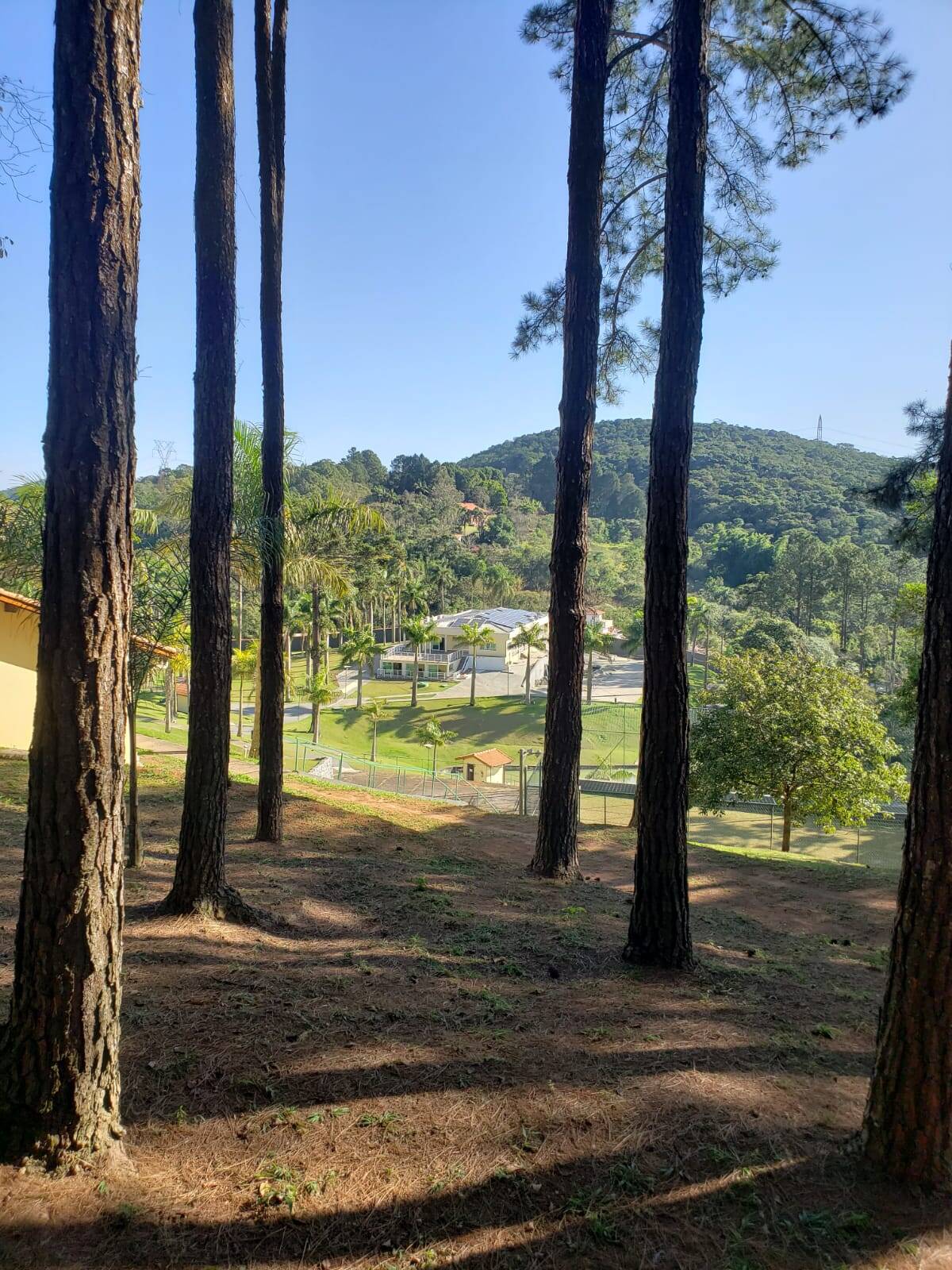 Chácara à venda e aluguel com 4 quartos, 5000m² - Foto 18