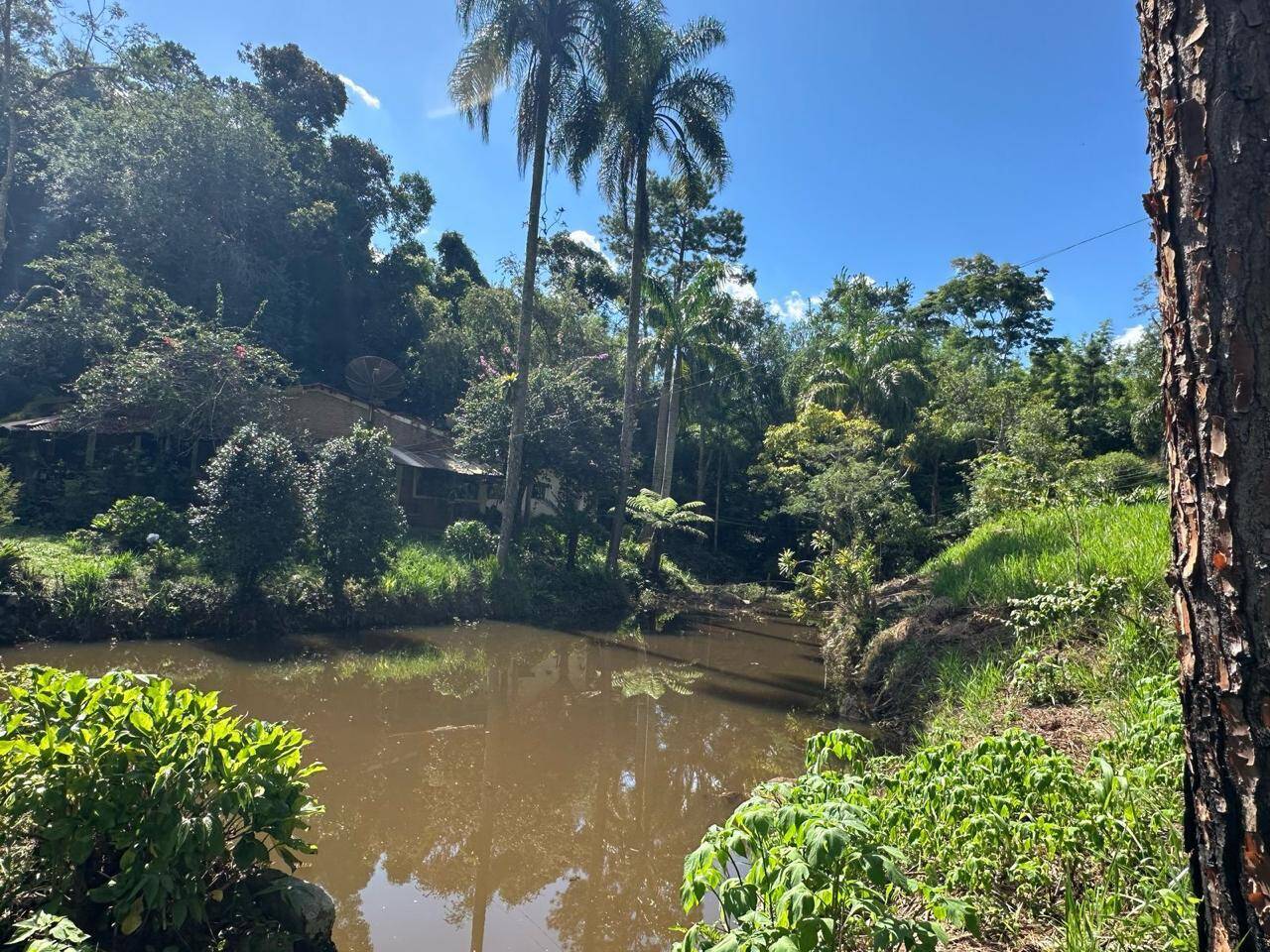 Chácara à venda com 4 quartos, 34000m² - Foto 1