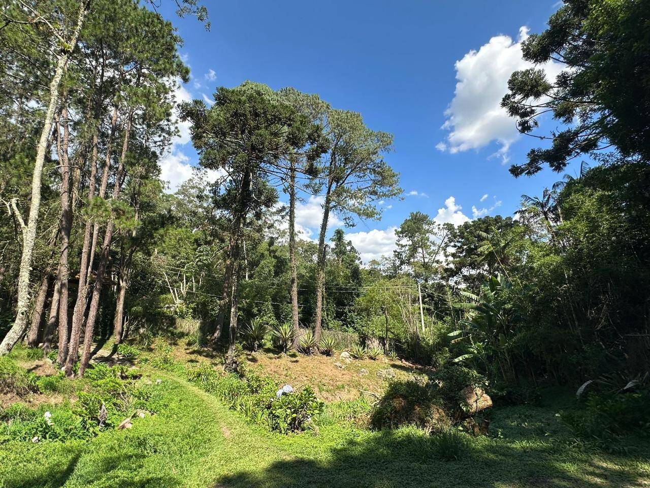 Chácara à venda com 4 quartos, 34000m² - Foto 3