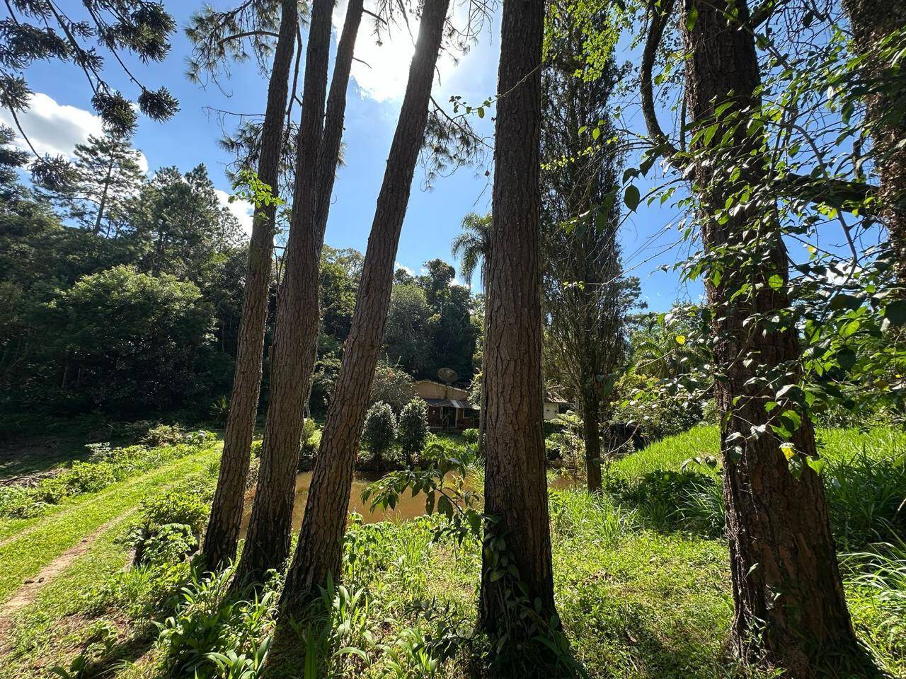 Chácara à venda com 4 quartos, 34000m² - Foto 4