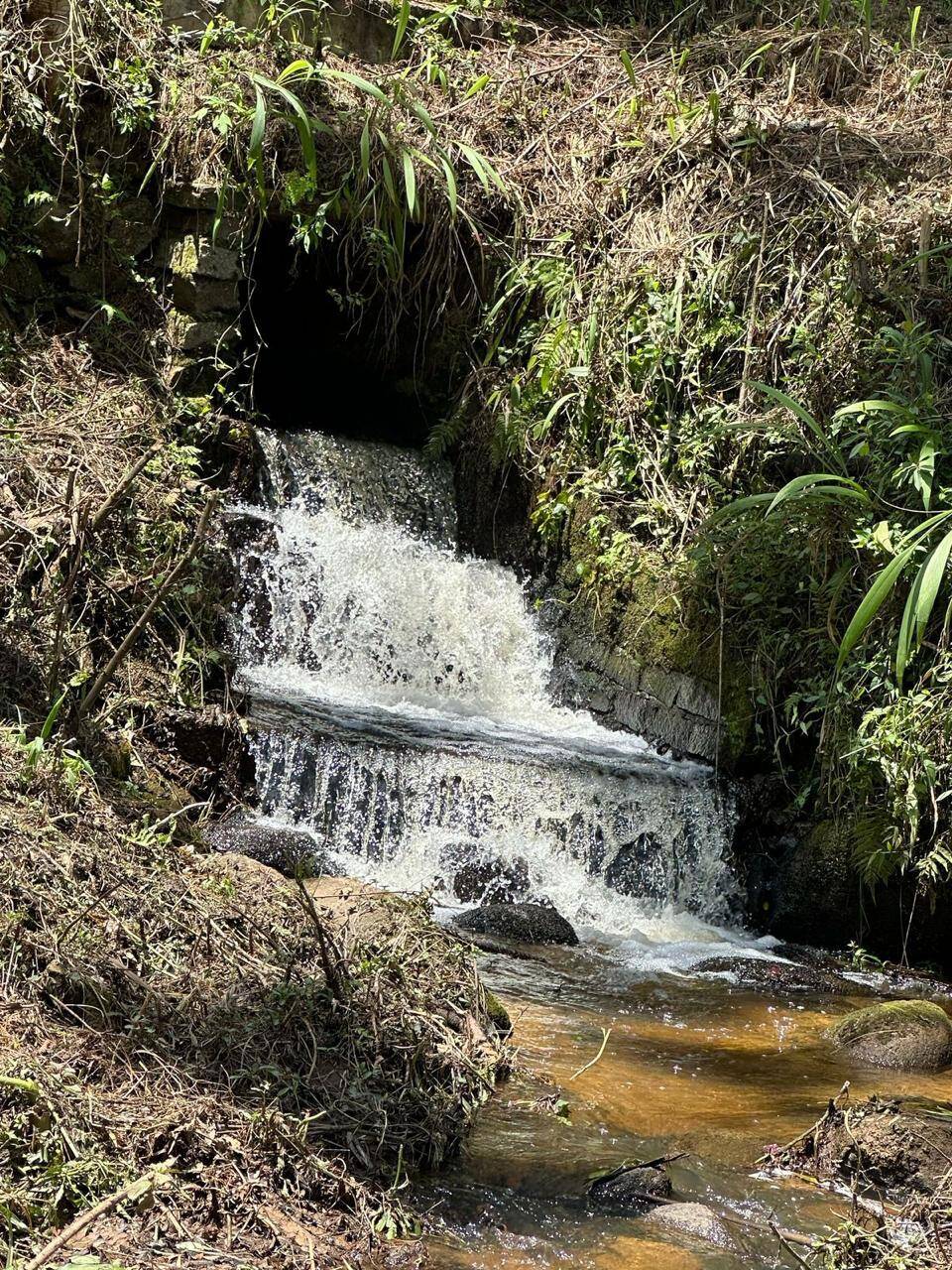Chácara à venda com 4 quartos, 34000m² - Foto 5