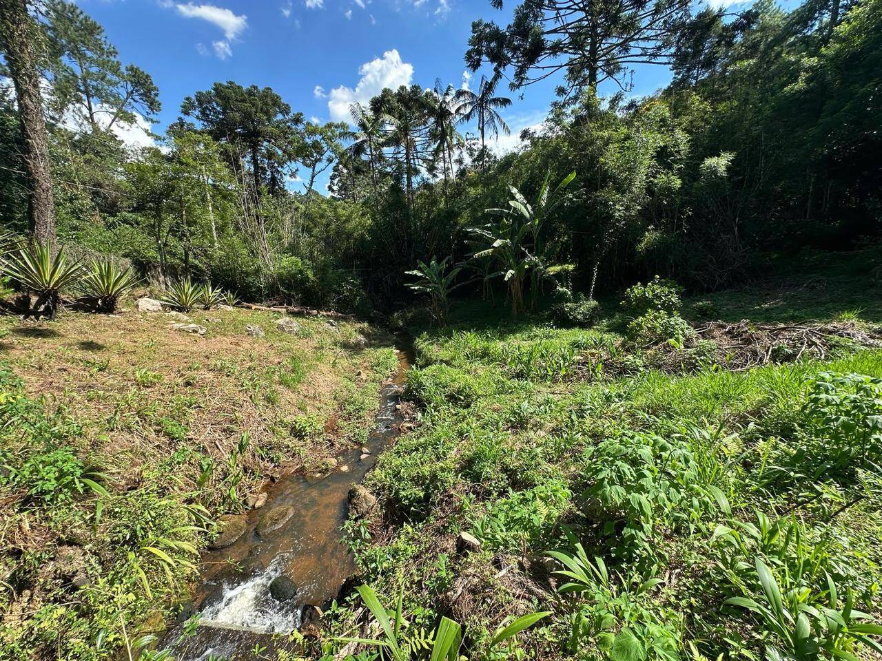 Chácara à venda com 4 quartos, 34000m² - Foto 7