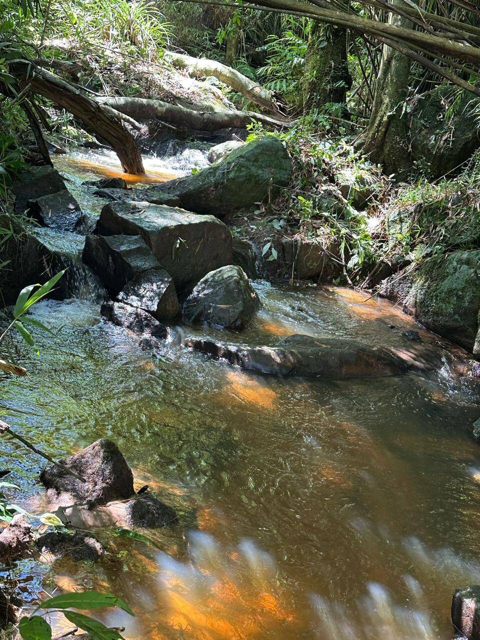 Chácara à venda com 4 quartos, 34000m² - Foto 8