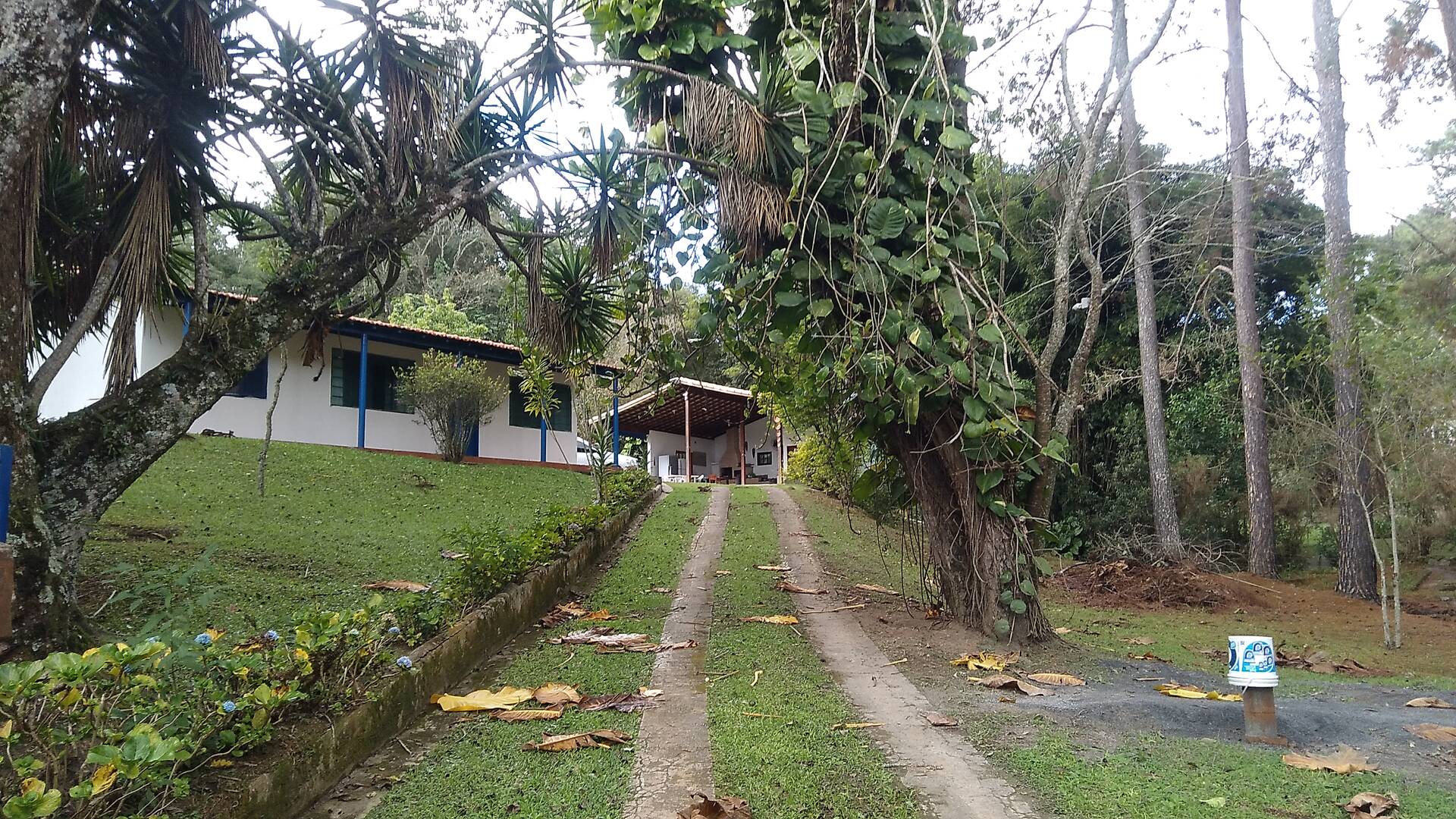 Sítio, 2 quartos, 4 hectares - Foto 2