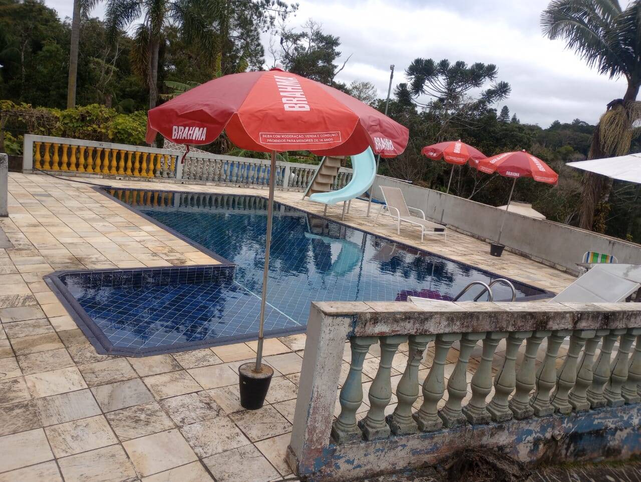 Chácara à venda com 3 quartos, 4500m² - Foto 6