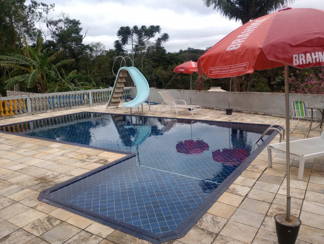 Chácara à venda com 3 quartos, 4500m² - Foto 1