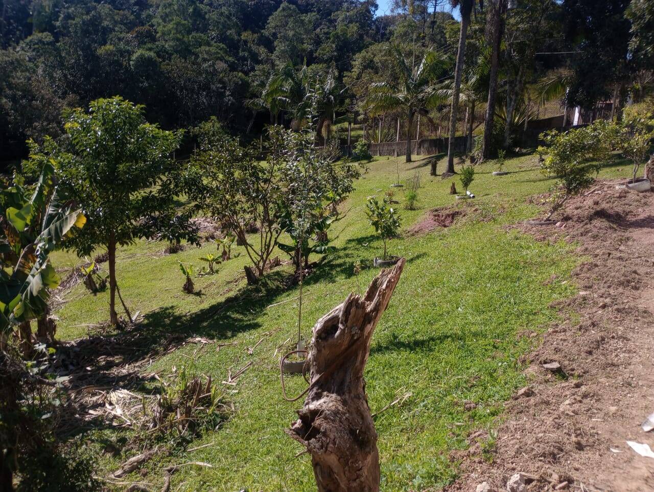 Chácara à venda com 3 quartos, 4500m² - Foto 11