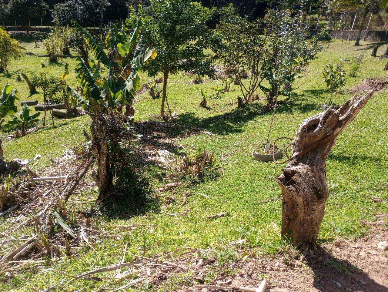 Chácara à venda com 3 quartos, 4500m² - Foto 12