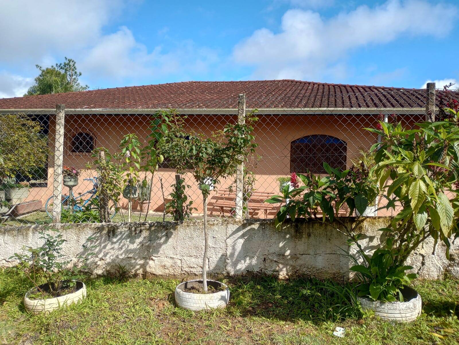 Chácara à venda com 3 quartos, 4500m² - Foto 4