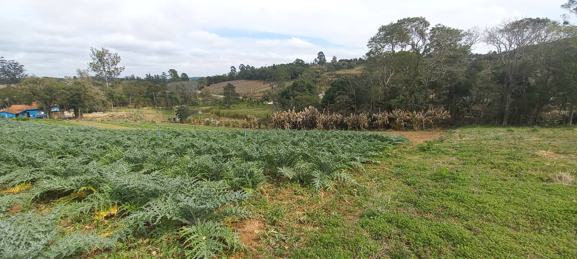 Terreno à venda, 1000m² - Foto 6