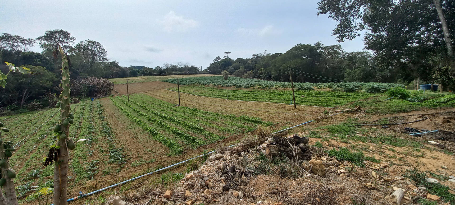 Terreno à venda, 1000m² - Foto 1