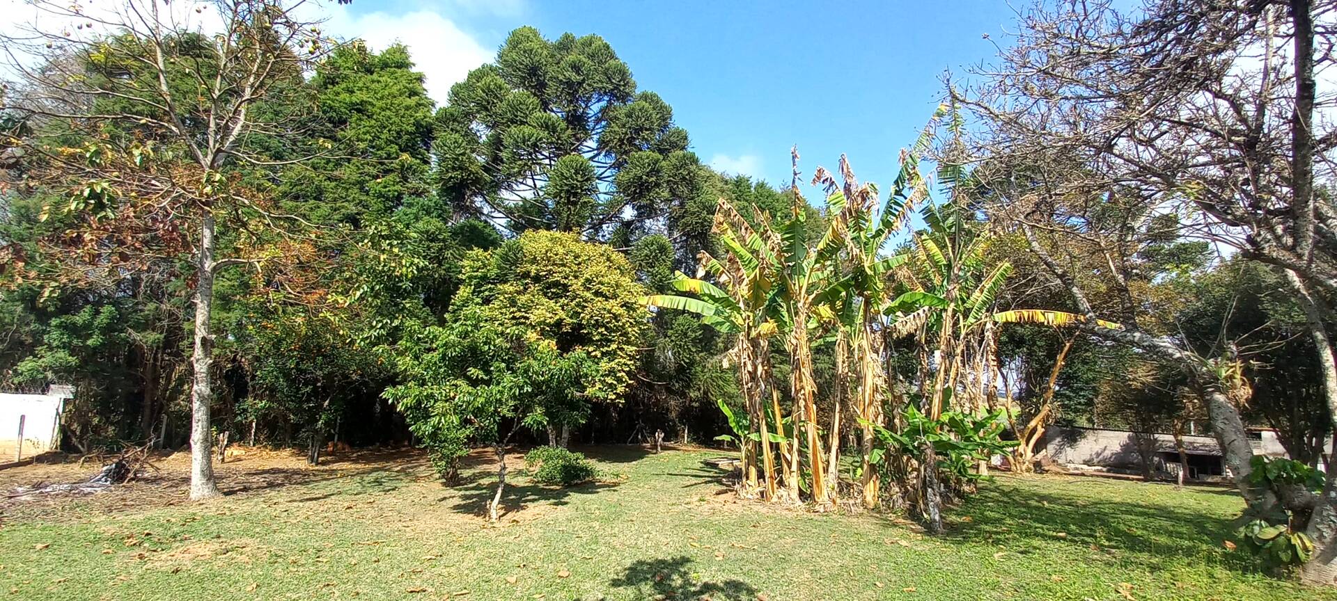Casa de Condomínio para alugar com 3 quartos, 3000m² - Foto 10