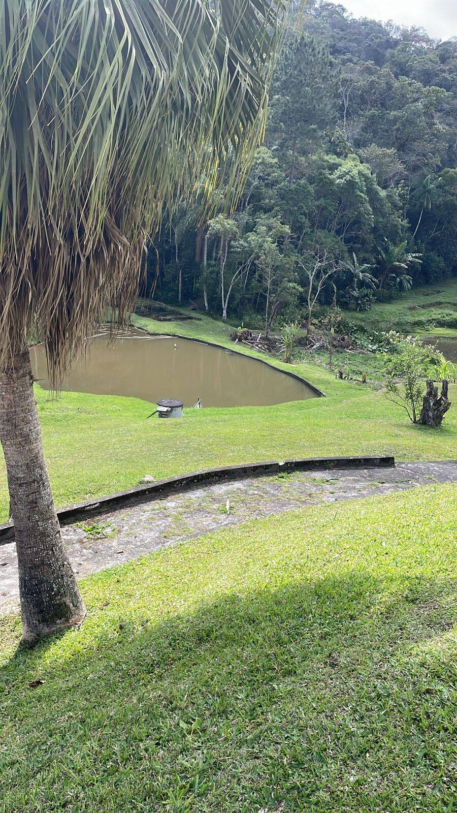 Sítio, 3 quartos, 30 hectares - Foto 5