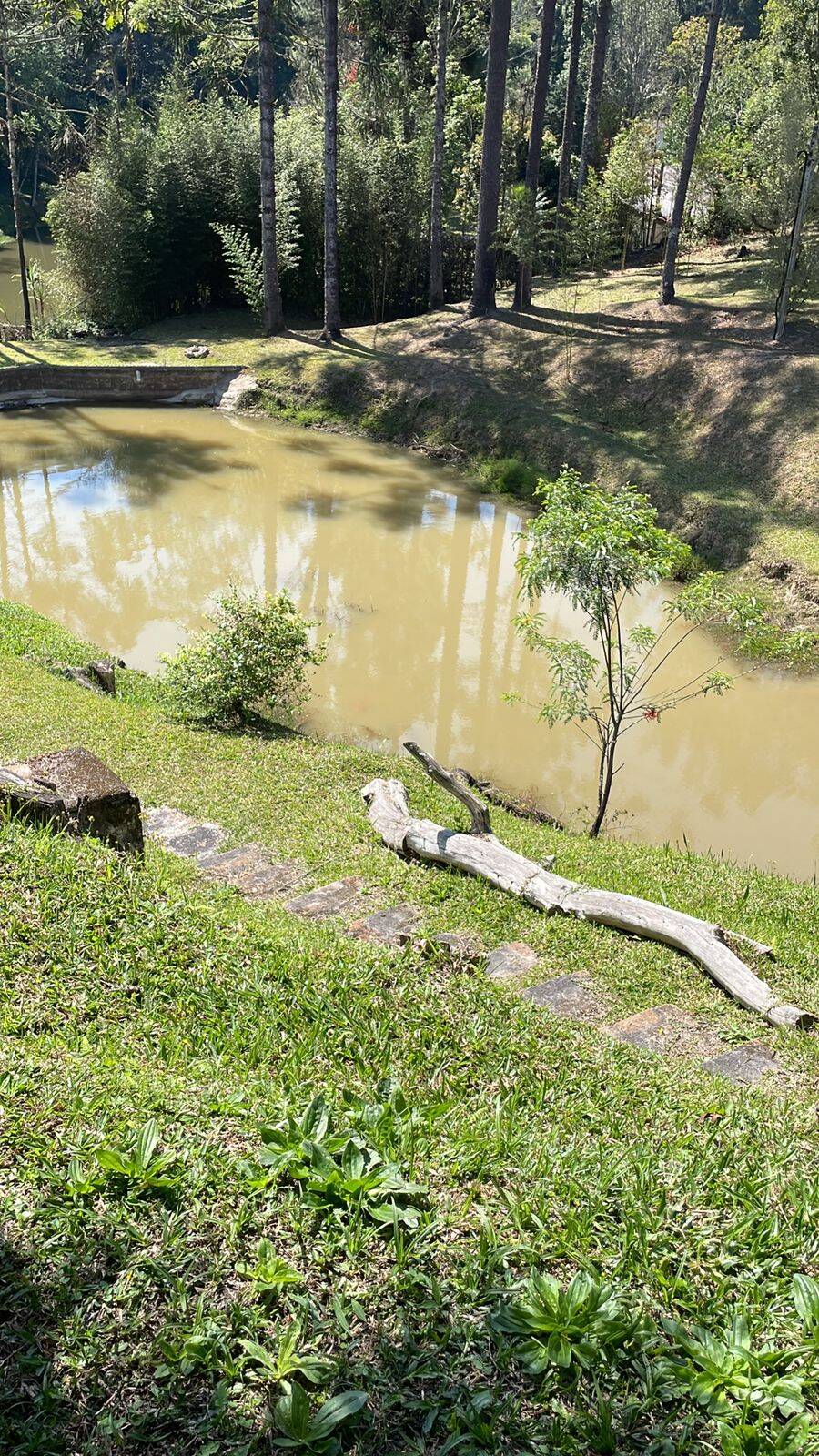 Sítio, 3 quartos, 30 hectares - Foto 7
