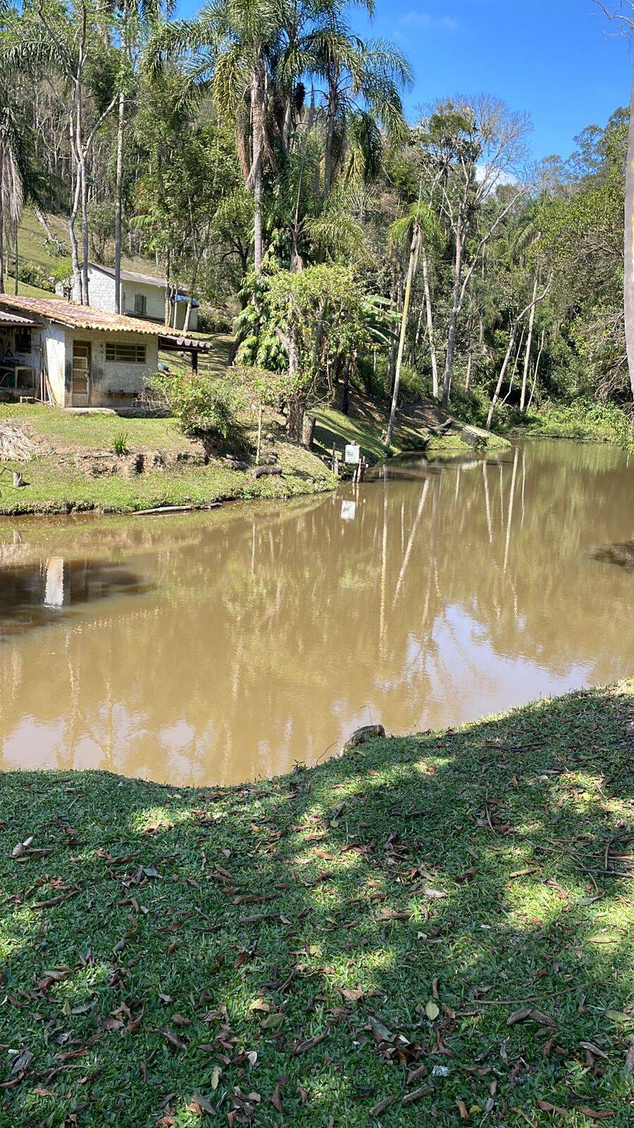 Sítio, 3 quartos, 30 hectares - Foto 12