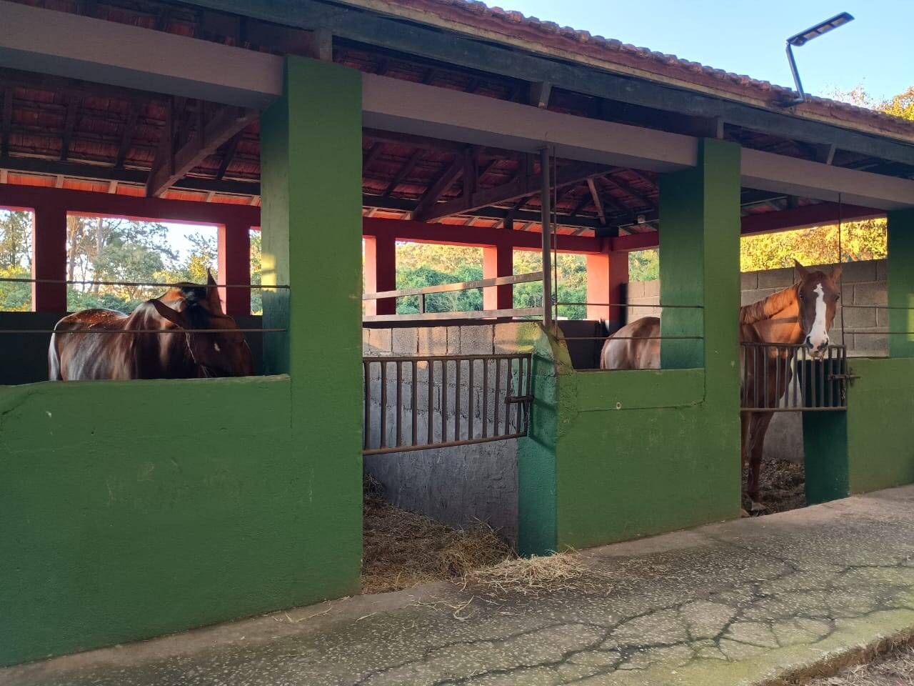 Terreno, 17 hectares - Foto 7