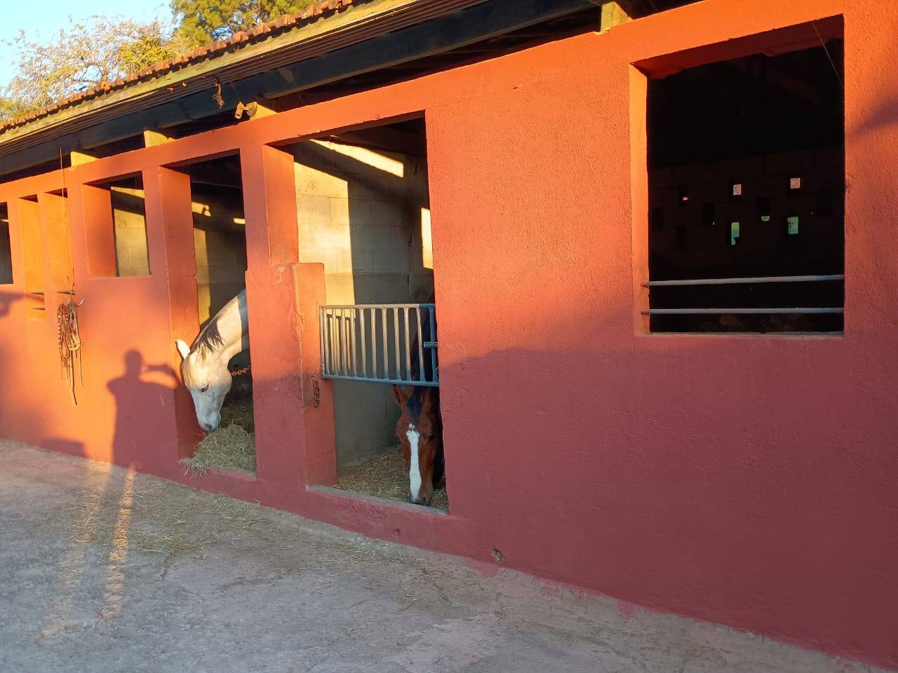 Terreno, 17 hectares - Foto 6