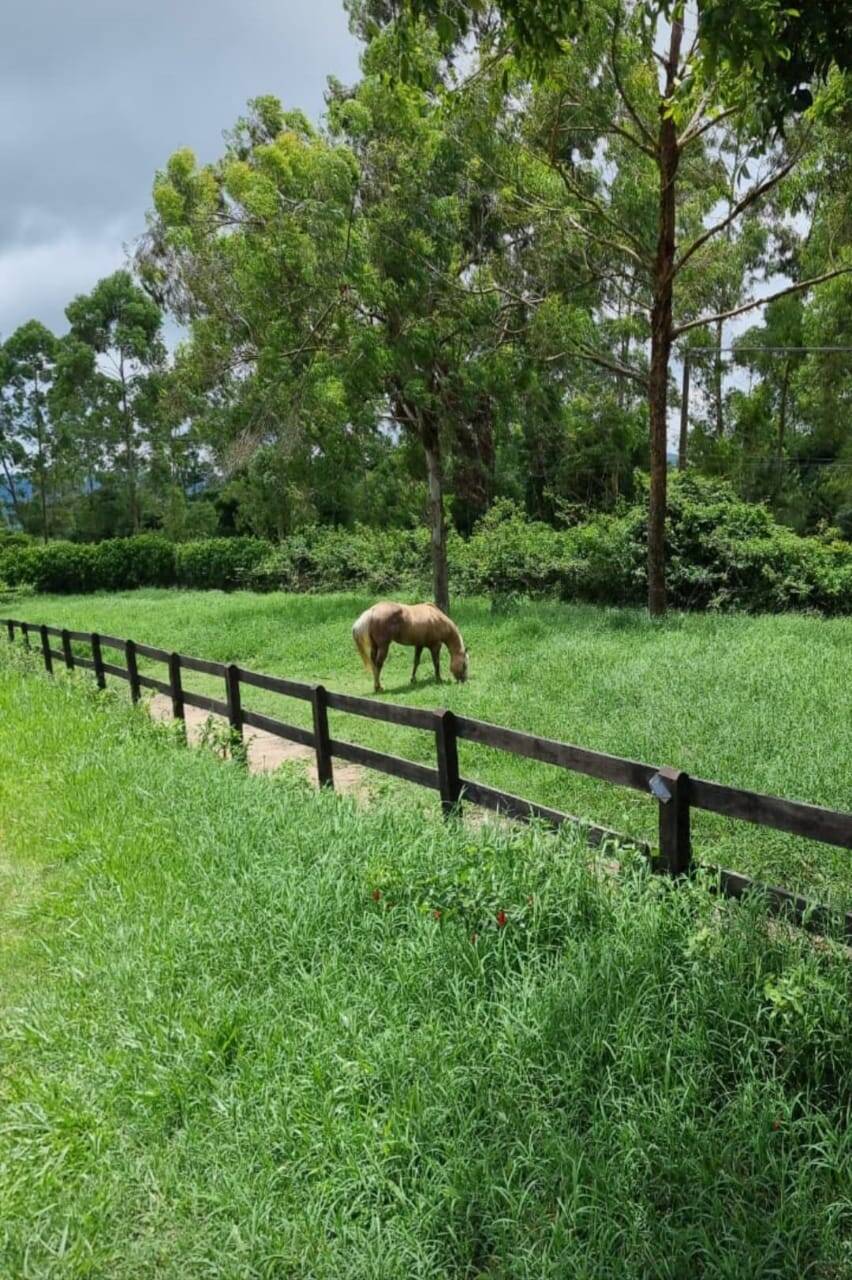 Terreno, 17 hectares - Foto 10