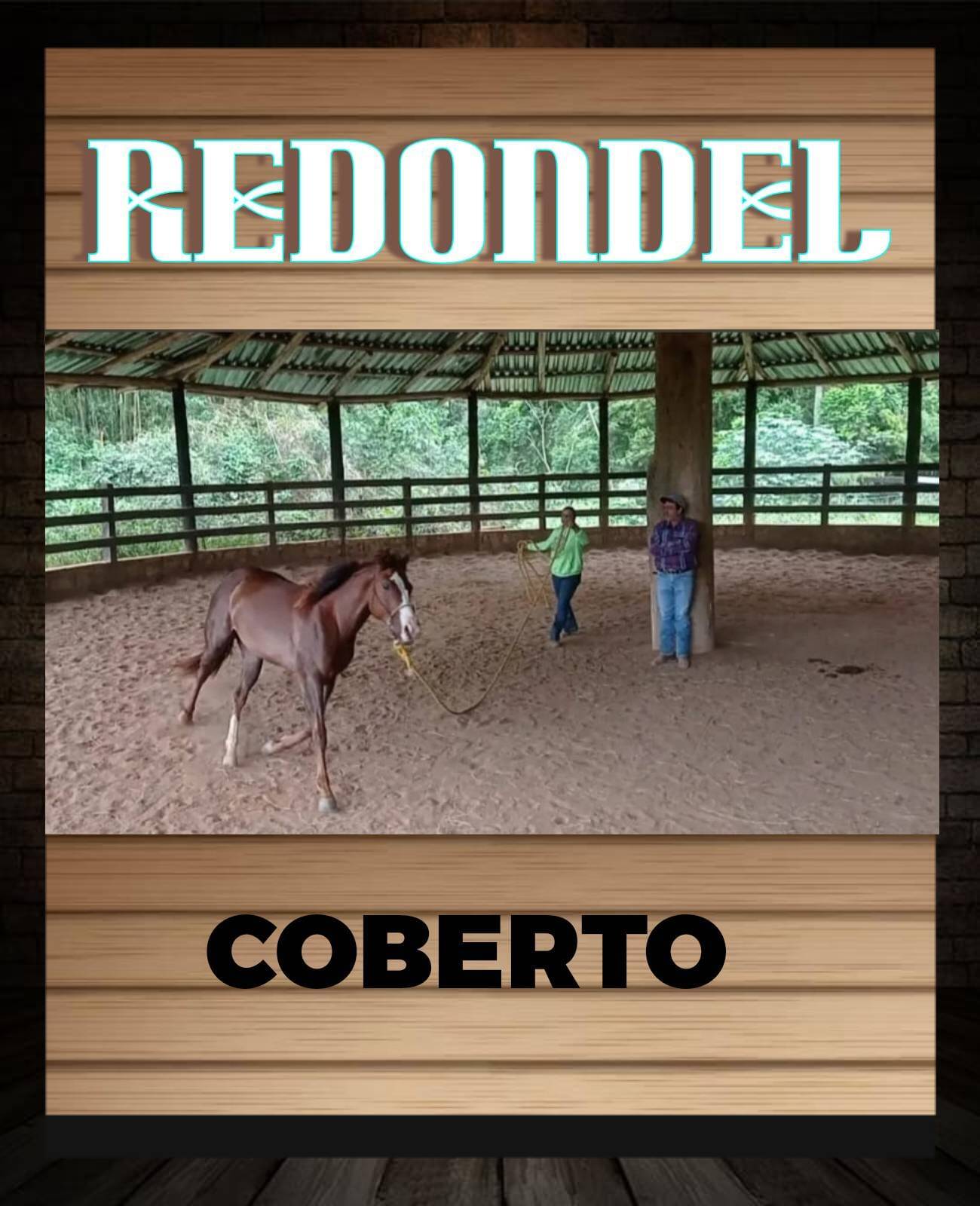 Terreno, 17 hectares - Foto 16