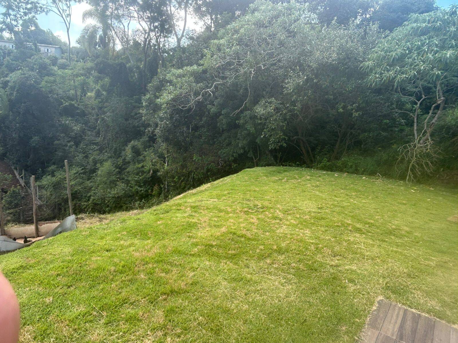 Sítio, 2 quartos, 2500 m² - Foto 12