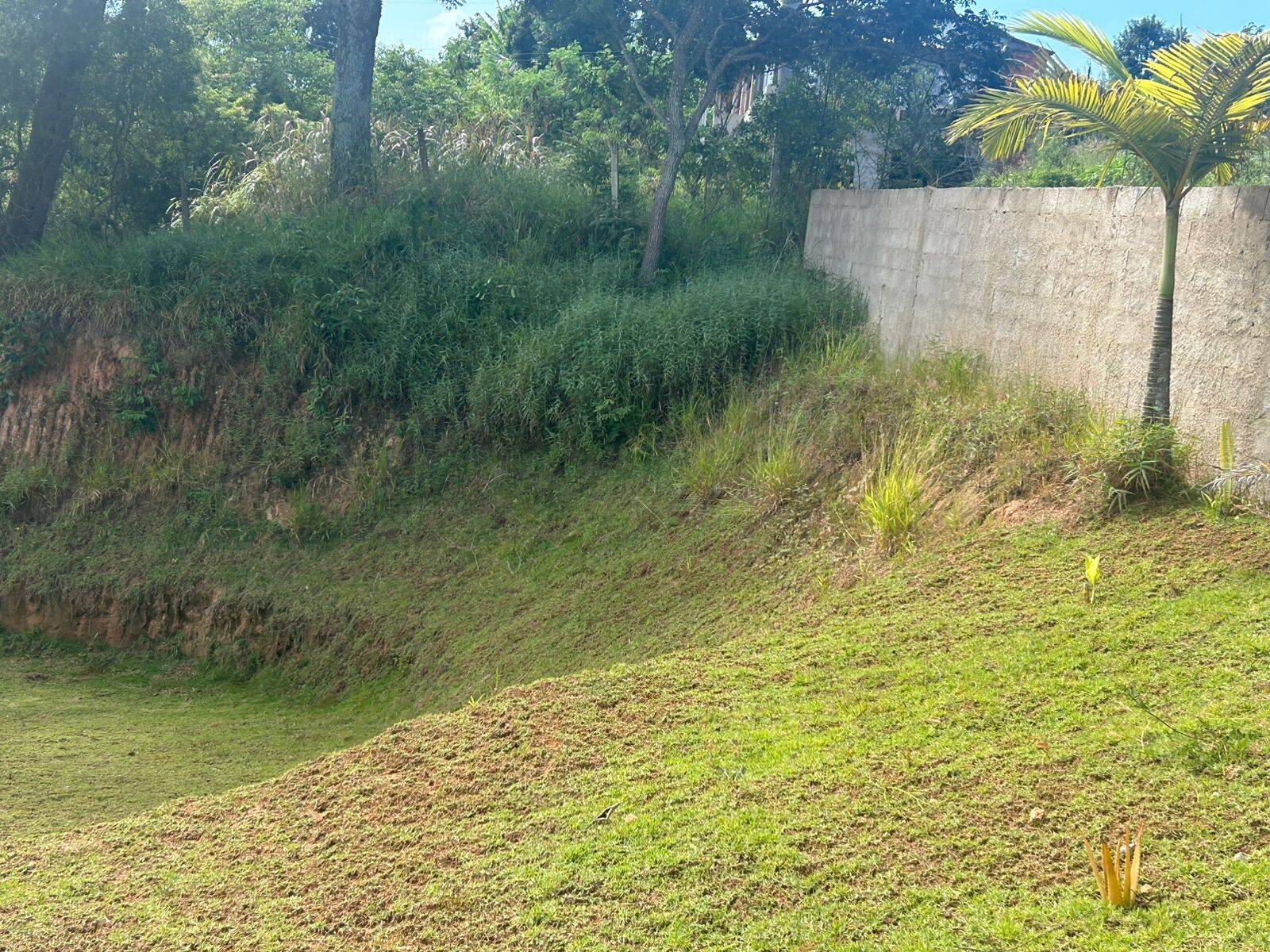 Sítio, 2 quartos, 2500 m² - Foto 25