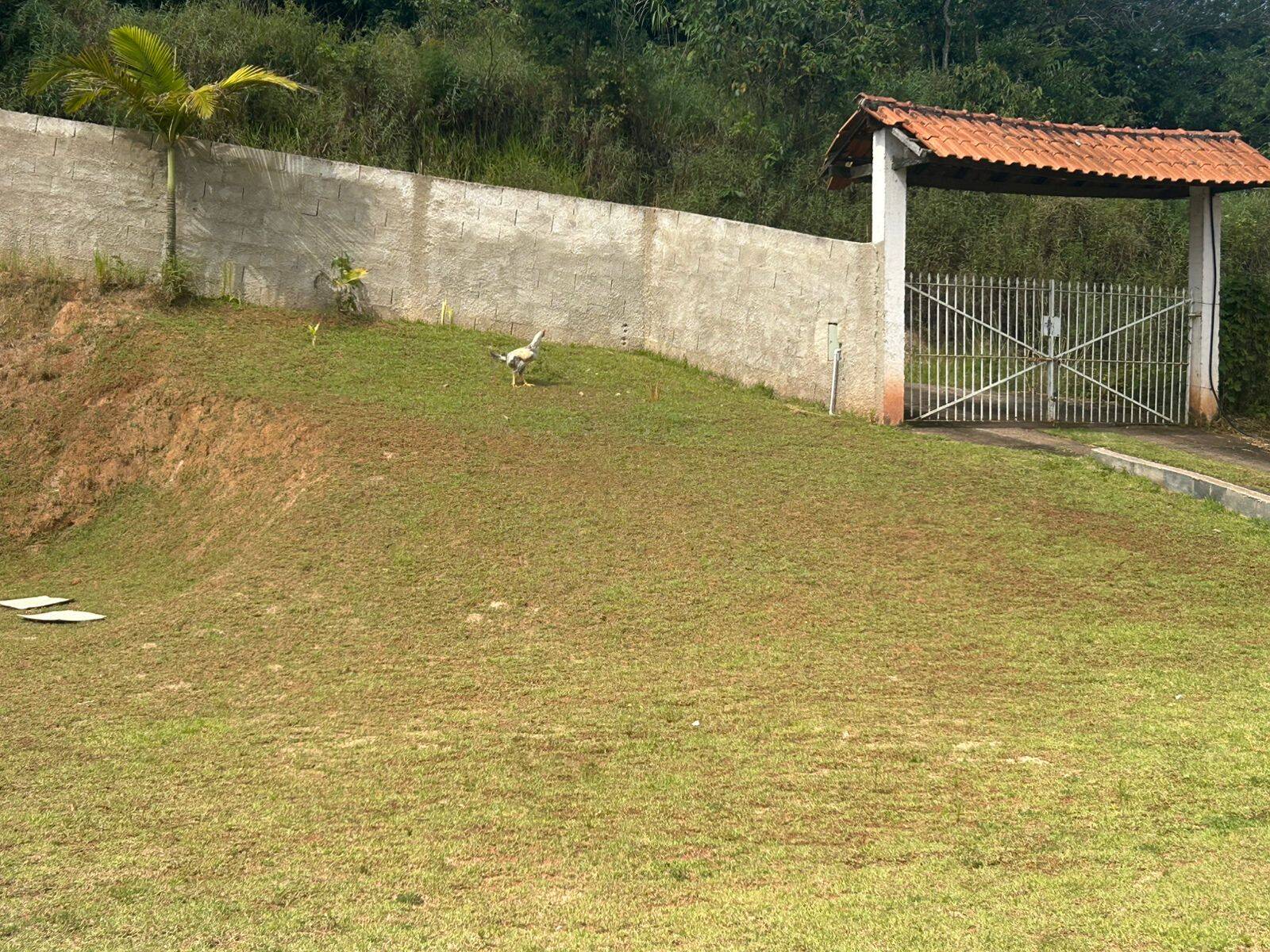 Sítio, 2 quartos, 2500 m² - Foto 27
