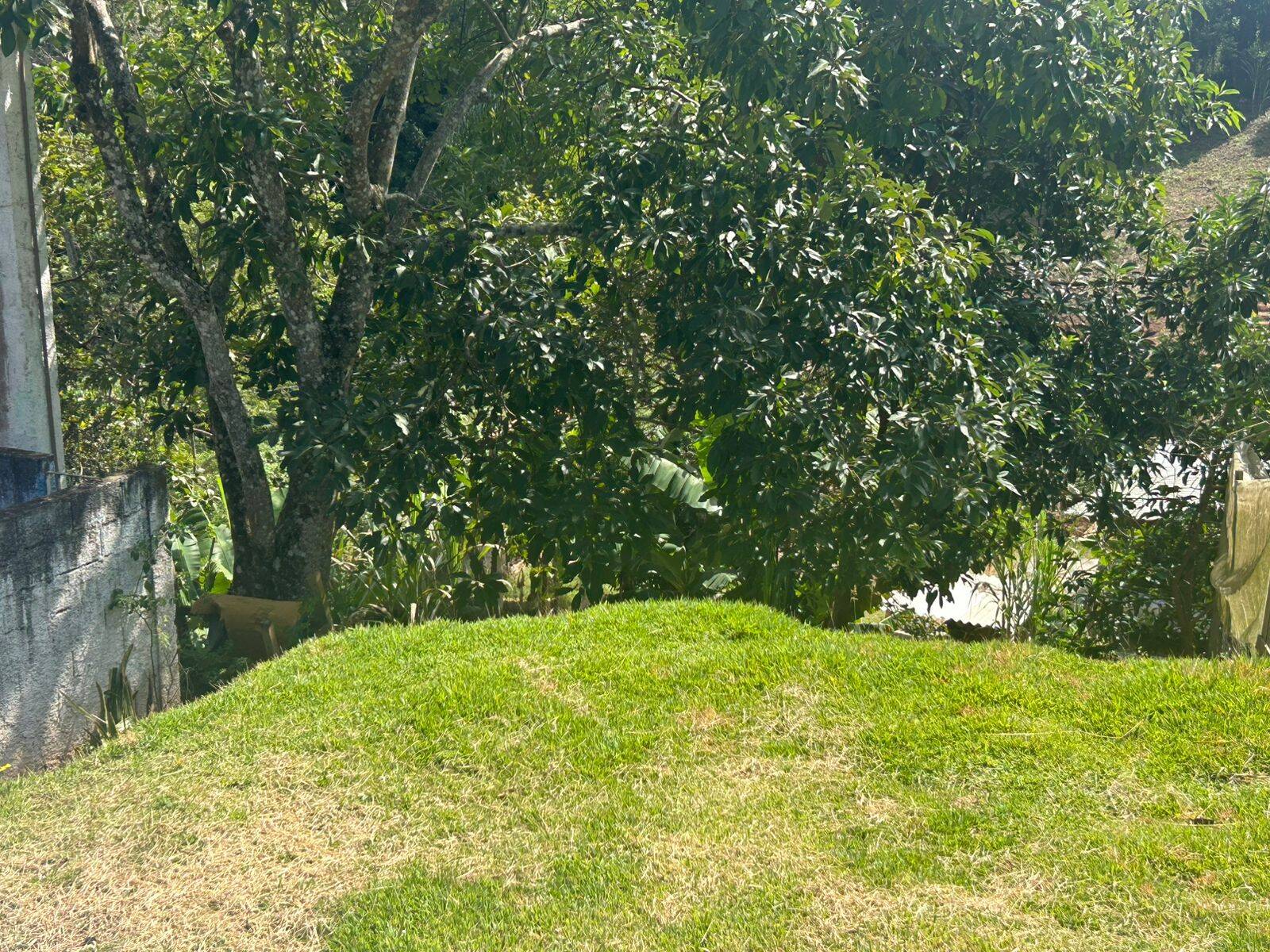 Sítio, 2 quartos, 2500 m² - Foto 29