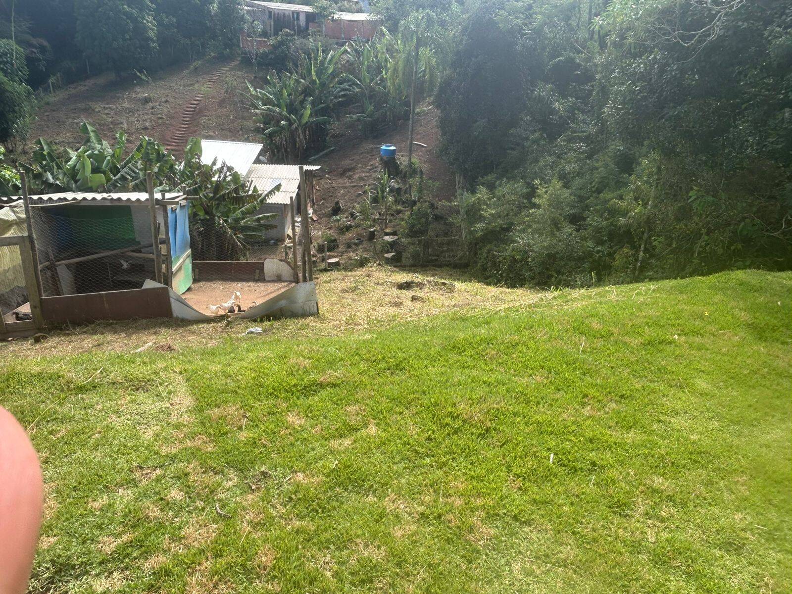 Sítio, 2 quartos, 2500 m² - Foto 32