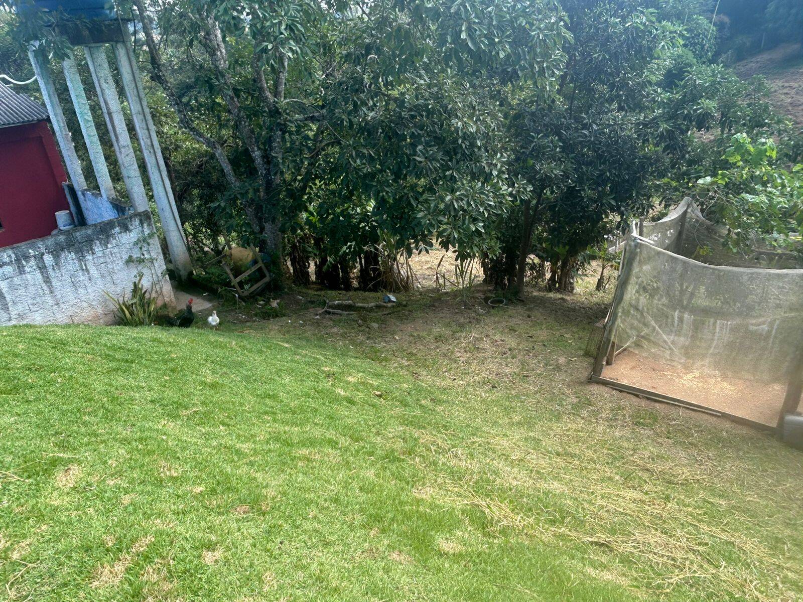 Sítio, 2 quartos, 2500 m² - Foto 50
