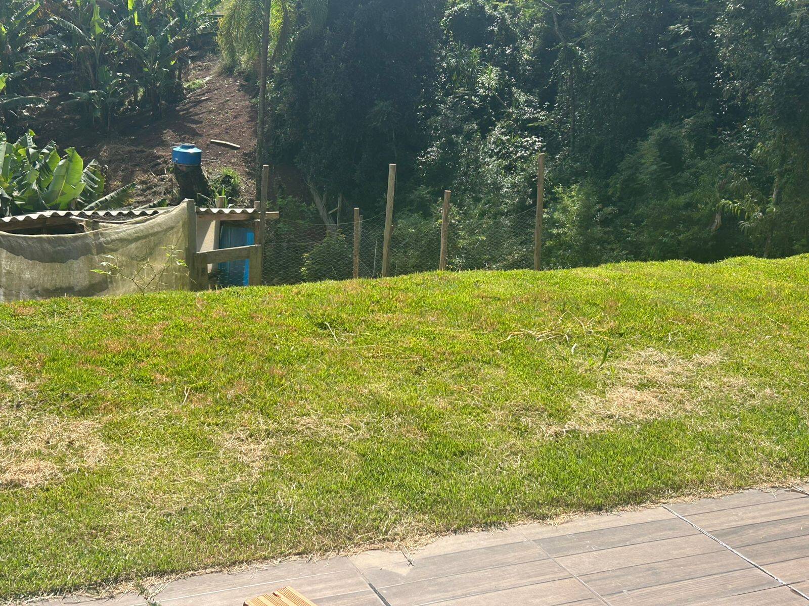 Sítio, 2 quartos, 2500 m² - Foto 52
