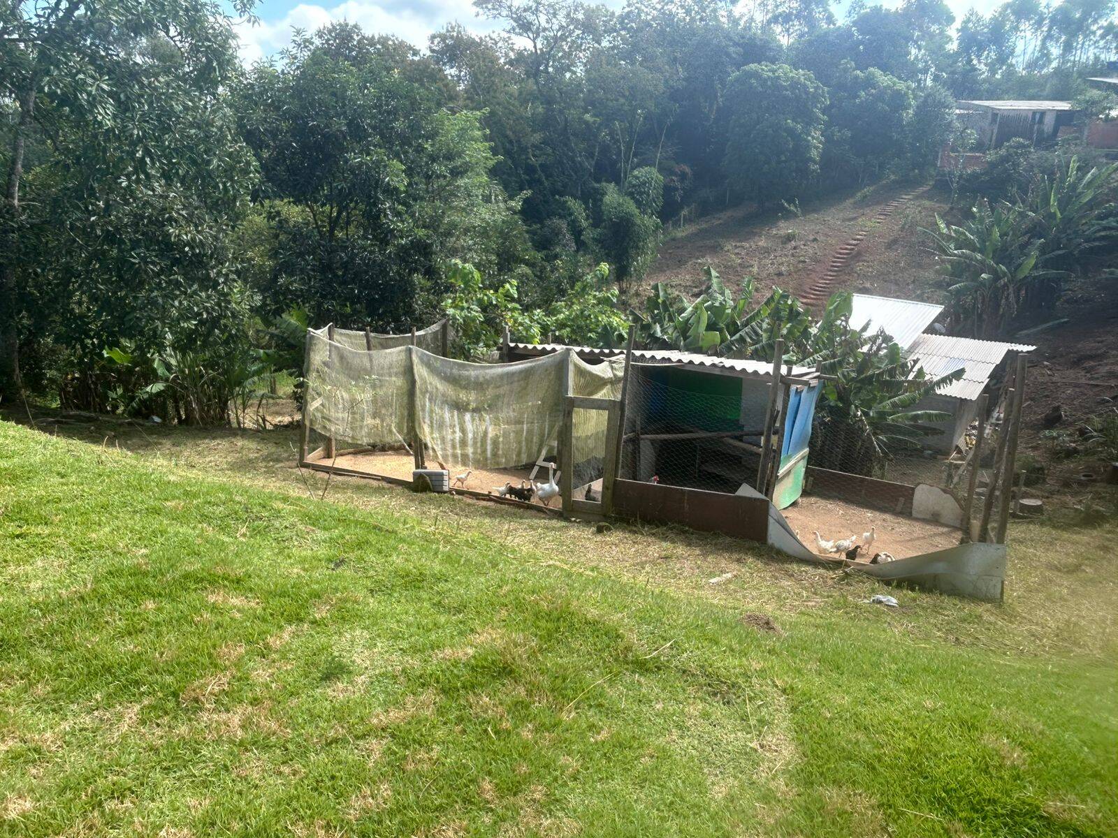 Sítio, 2 quartos, 2500 m² - Foto 53