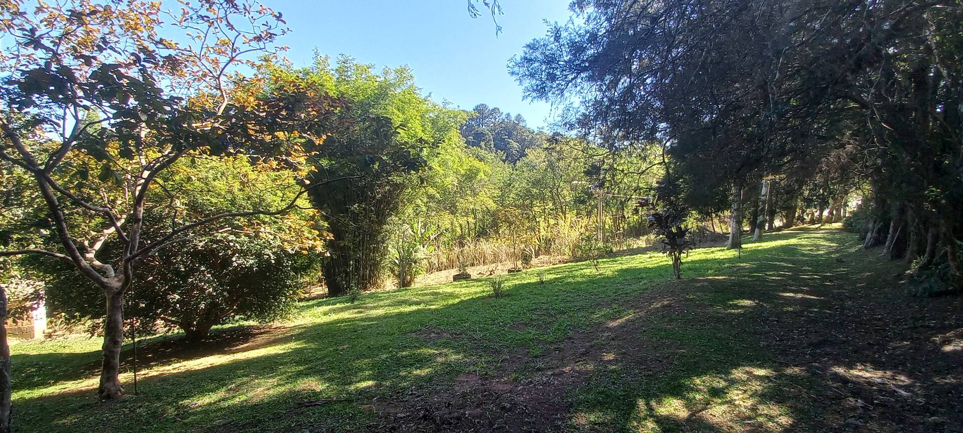 Chácara, 2 quartos, 3400 m² - Foto 2