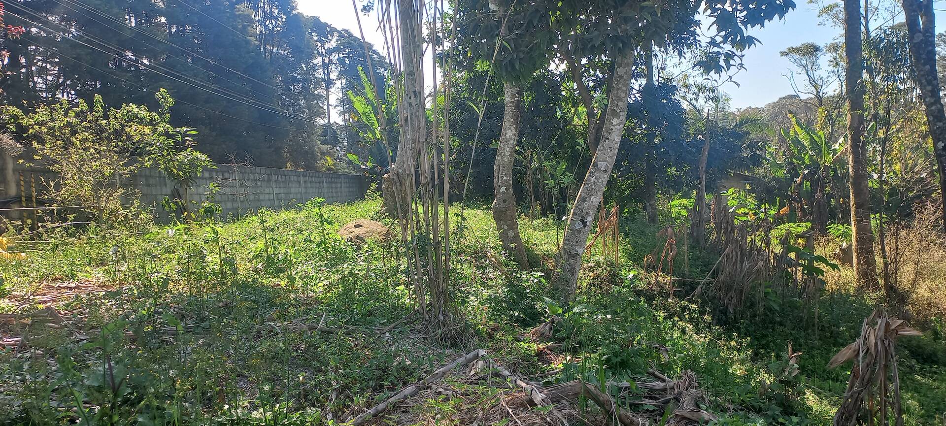 Terreno, 1830 m² - Foto 6